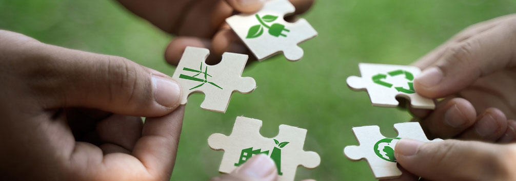 respecting human rights image